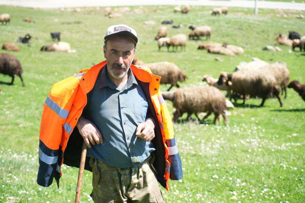  40 bin TL’ye çoban bulunamıyor