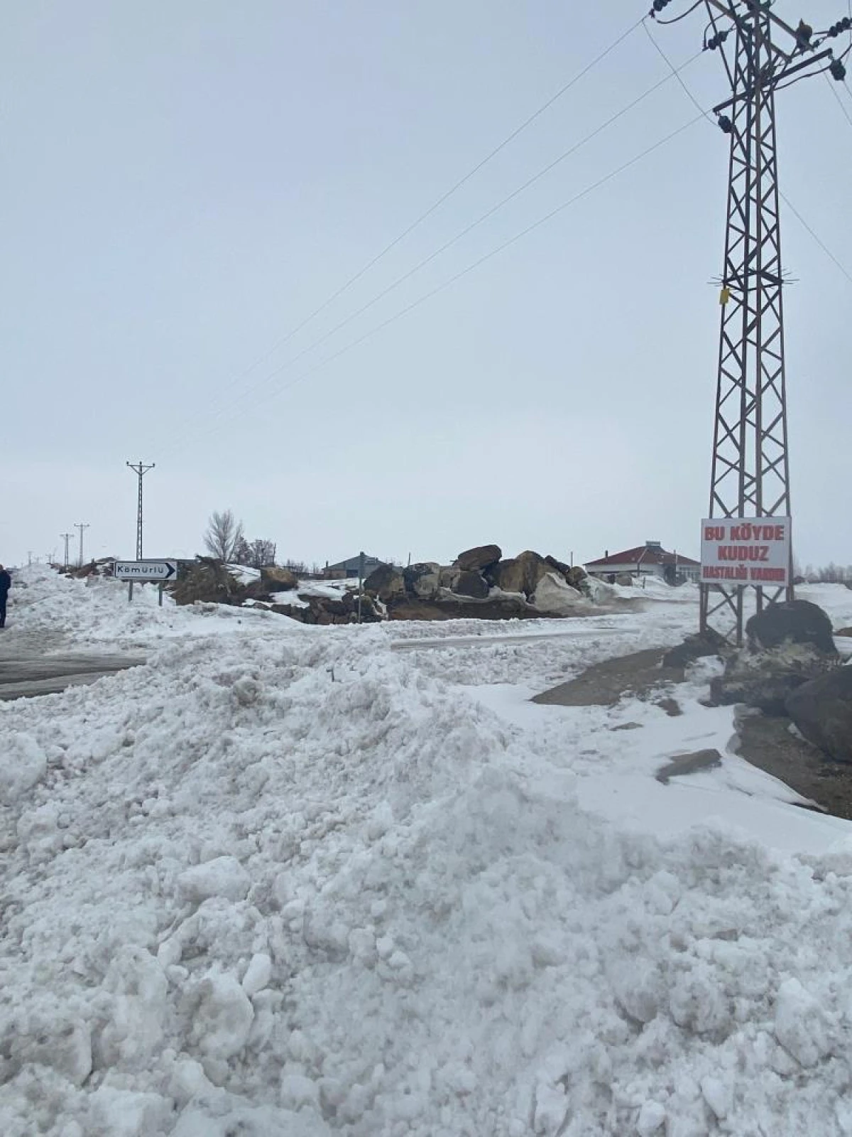 Adilcevaz'da kuduz alarmı: Bir k&ouml;y karantinaya alındı