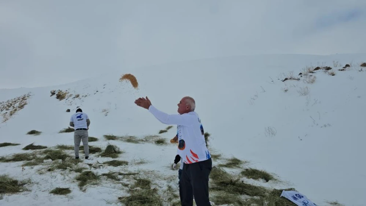 Adilcevaz&rsquo;da yaban hayvanları unutulmadı: Aktivistlerden S&uuml;phan Dağı eteğine yem bıraktı