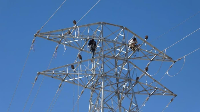 Van'da 31 kilometrelik enerji hattı tamamlandı: Çalışmalarda yabani kuşlar gözetildi
