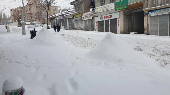 Başkale kara g&ouml;m&uuml;ld&uuml;, 88 yerleşim yerinin yolu kapandı