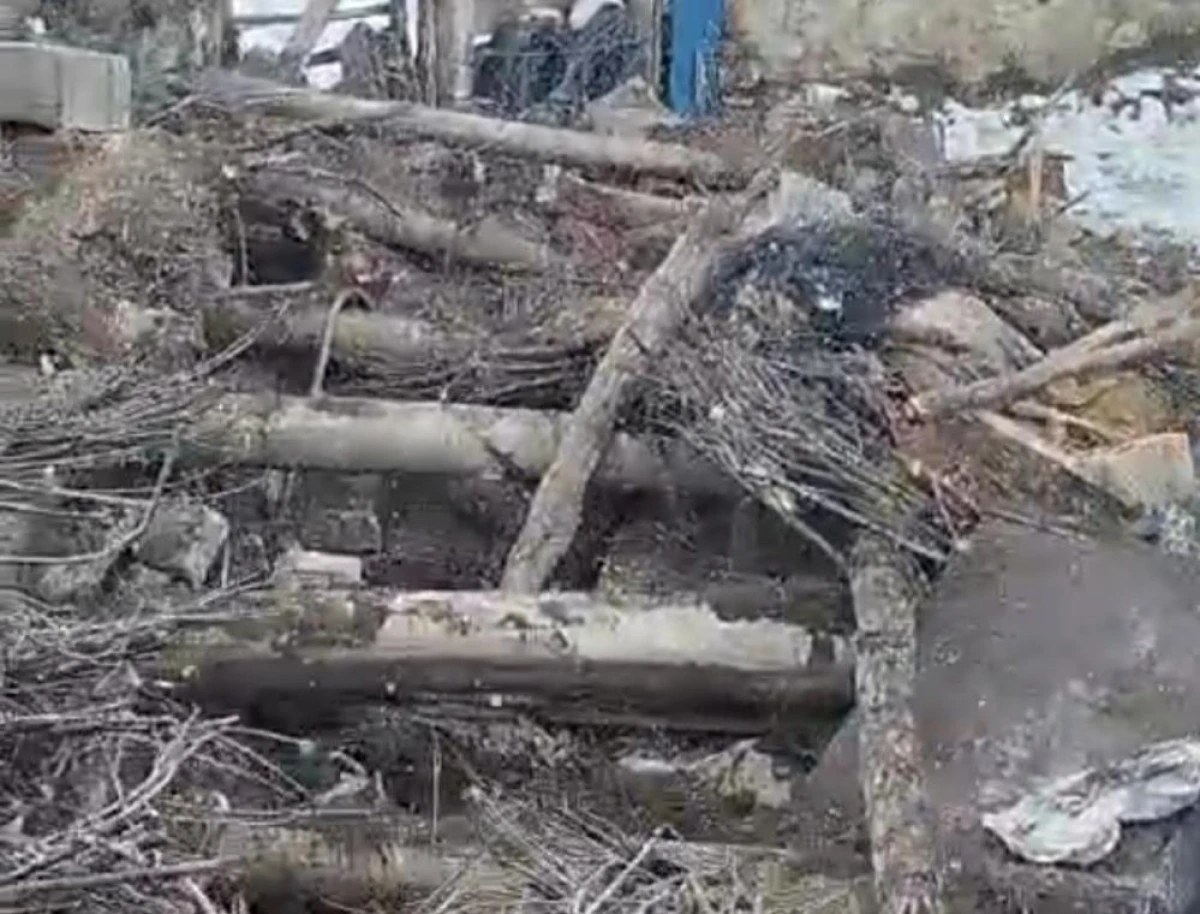 Başkale&rsquo;de ahır &ccedil;&ouml;kt&uuml;: 20 k&uuml;&ccedil;&uuml;kbaş hayvan g&ouml;&ccedil;&uuml;k altında kaldı