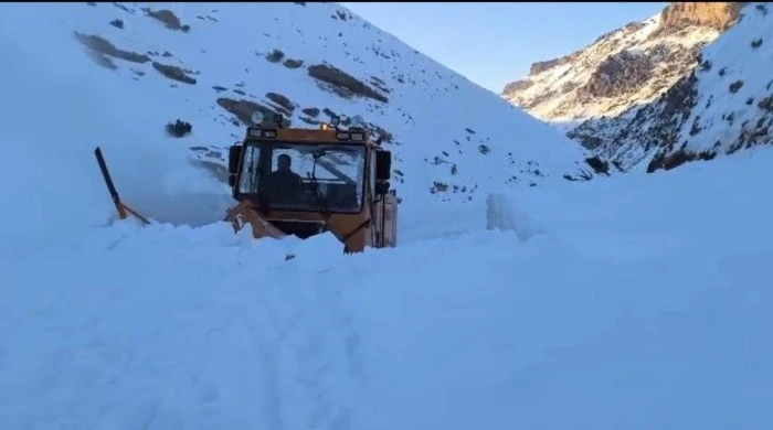 Başkale'de &ccedil;ığ nedeniyle kapanan yol ulaşıma a&ccedil;ıldı