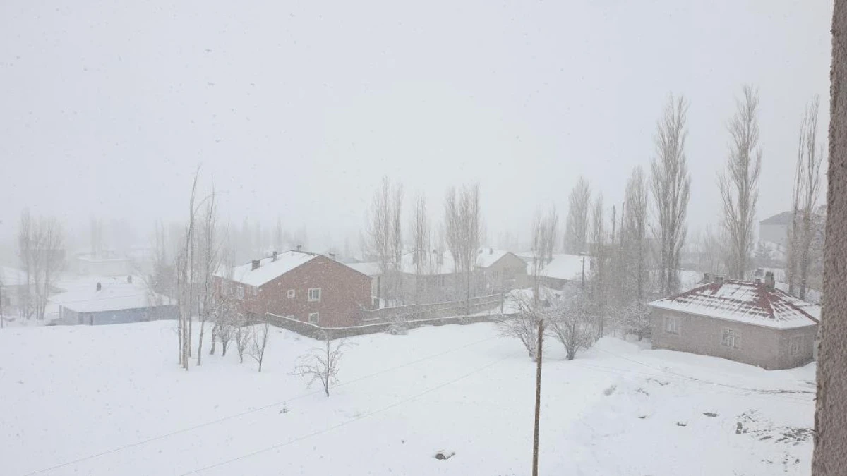 Başkale'de kar yağışı