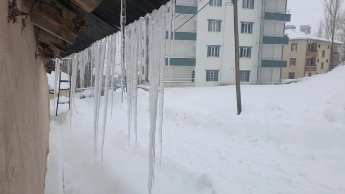 Başkale'de taşımalı eğitime 1 g&uuml;n ara verildi