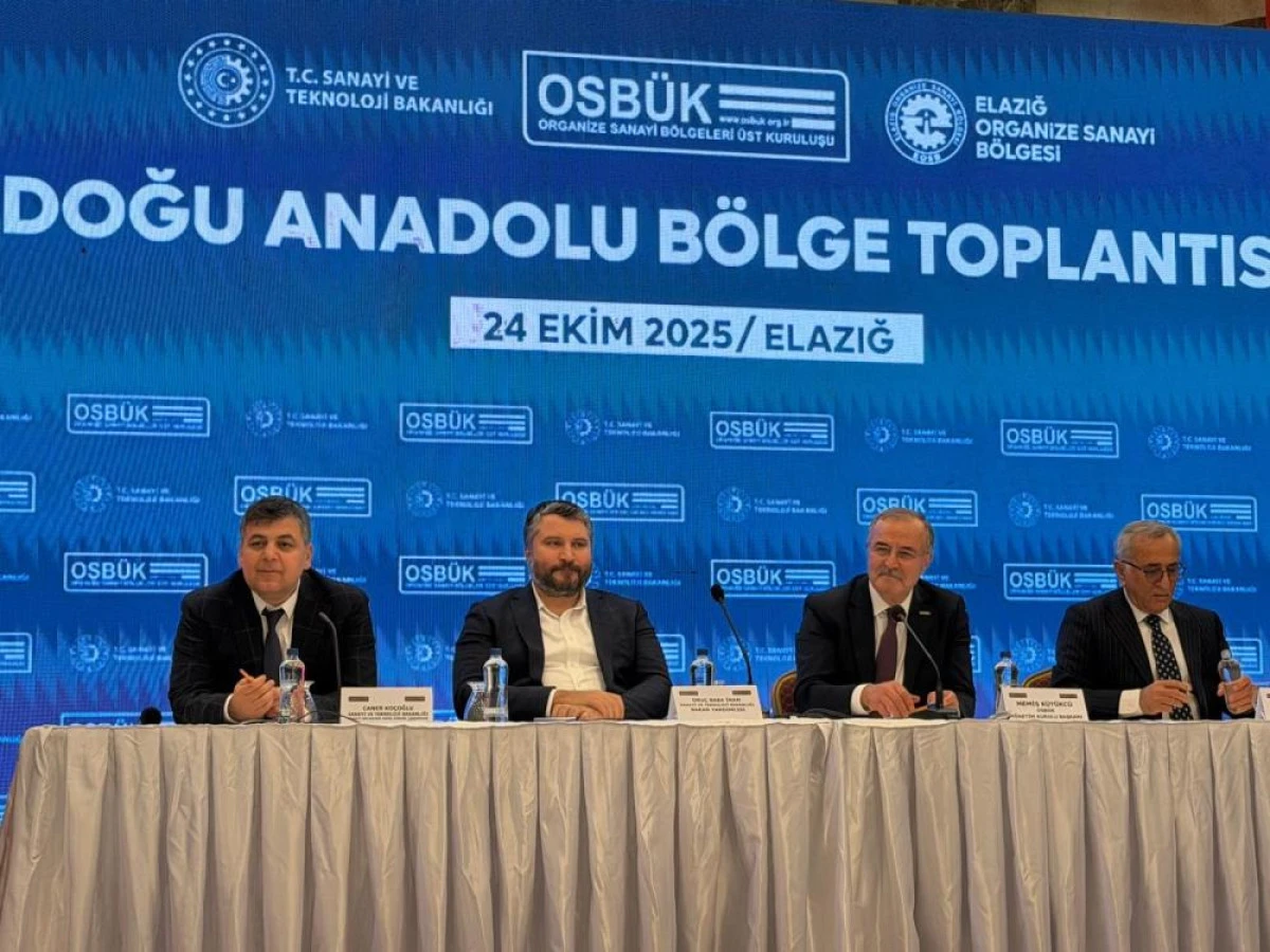 Başkan Memet Aslan: 