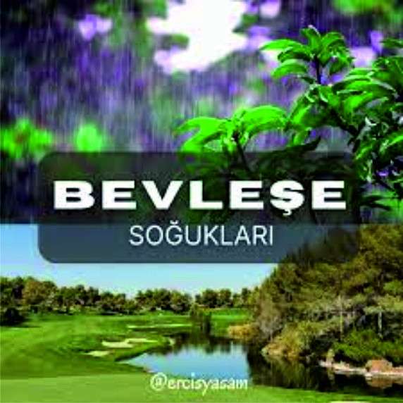 BEVLEŞE (ŞEĞTE) SOĞUKLARI SOBALARI YAKTIRDI