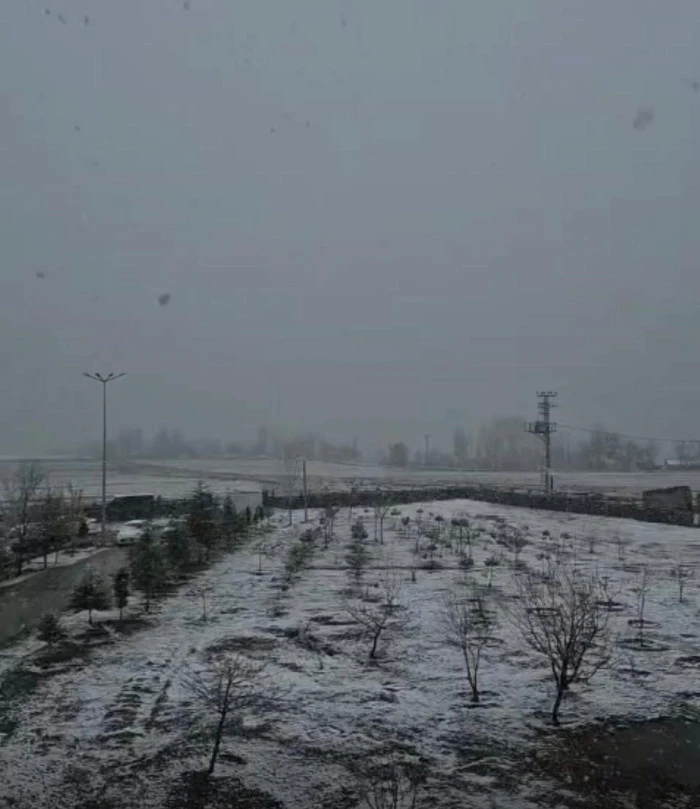 &ldquo;Camışkıran Vurdu: Erciş&rsquo;te Bahar Dondu!&rdquo;