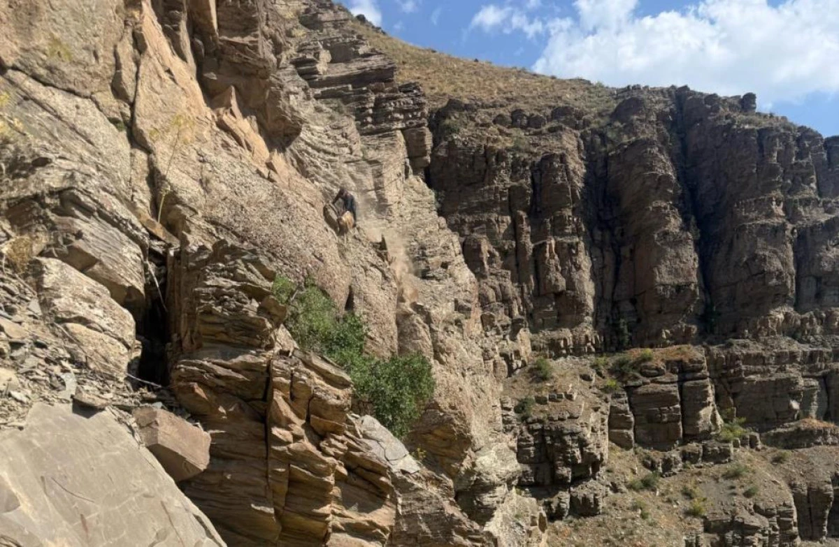 Dağda mahsur kalan koyunlar ekipler tarafından kurtarıld