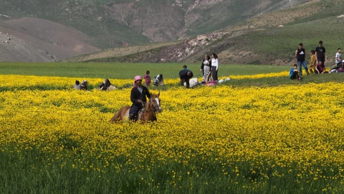 Doğa i&ccedil;in deklanş&ouml;re bastılar: Dostlar Fotoğraf Grubu Van'ın sulak alanlarını fotoğrafladı