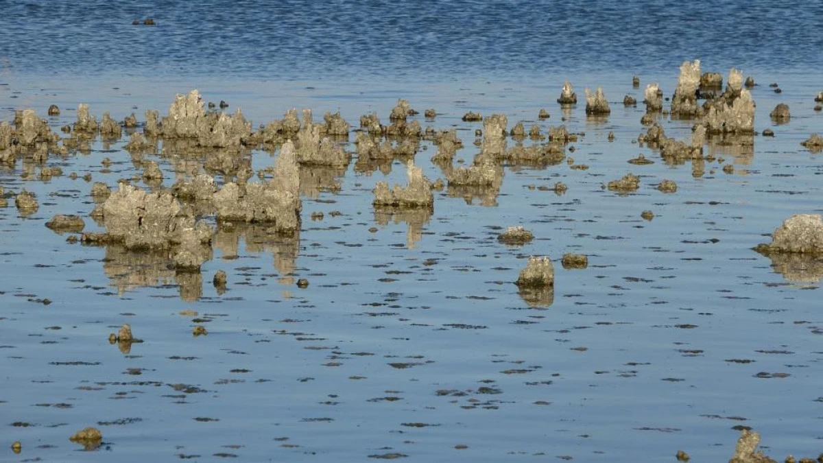 Erçek Gölü'nde su çekilince mikrobiyalitler ortaya çıktı