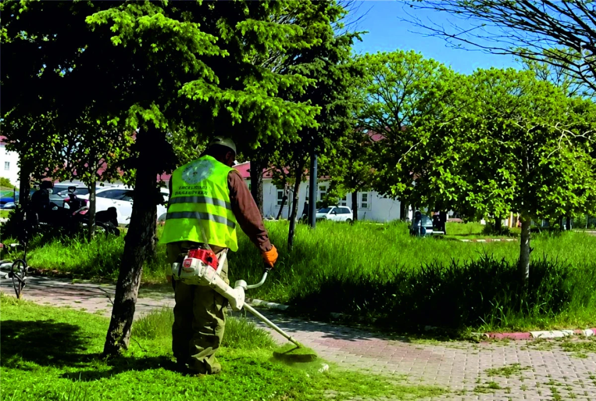 Erciş Belediyesi&rsquo;nden Bah&ccedil;elerde Yaz Mesaisi