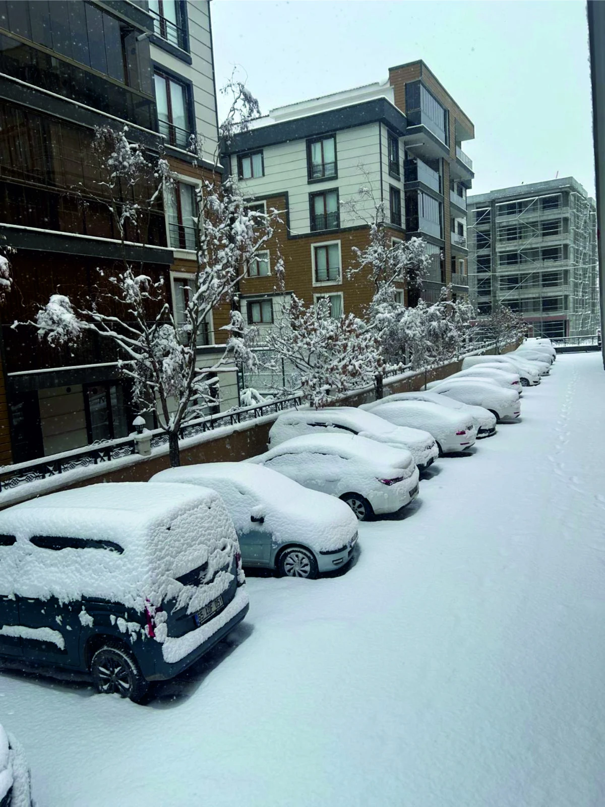 Erciş G&uuml;ne Beyaz Bereketle Uyandı