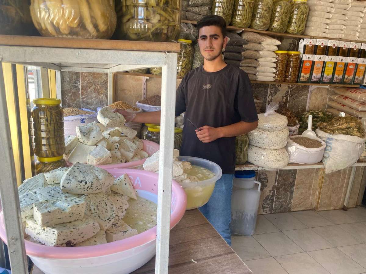 ERCİŞ OTLU PEYNİRİ  BATI İLLERİNE HEDİYELİK OLARAK GÖNDERİLİYOR