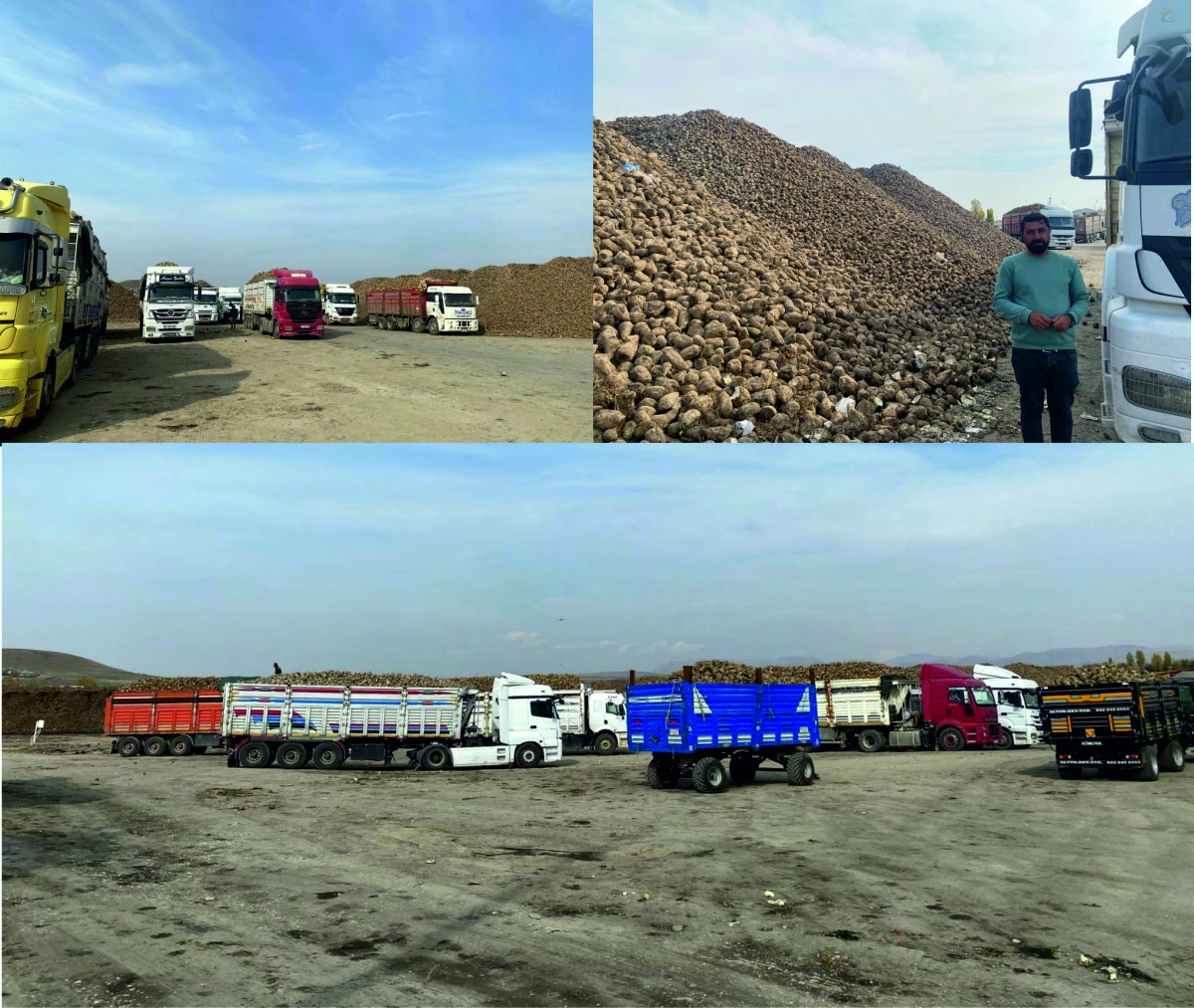 ERCİŞ ŞEKER FABRİKASI’NDA  PANCAR ALIMLARI DEVAM EDİYOR