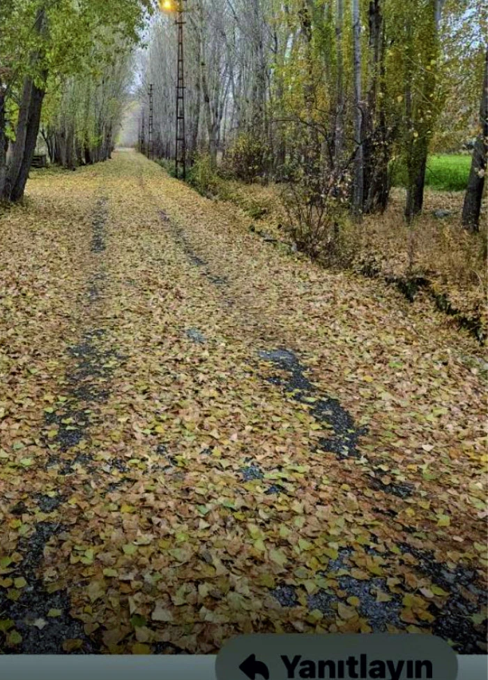 ERCİŞ YOLLARINDA GAZEL GÜZELLİĞİ