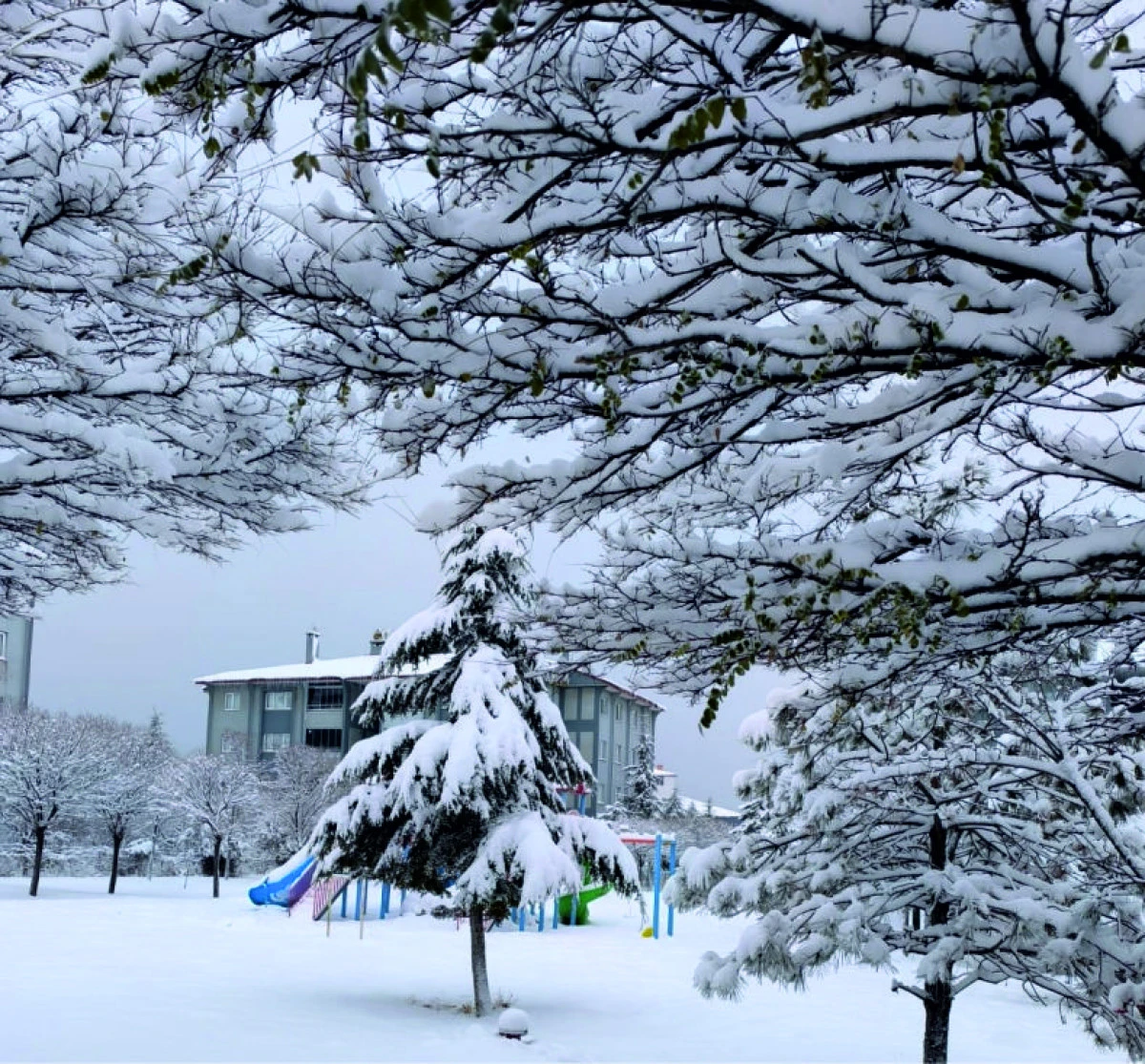ERCİŞ'E KARLA GELEN G&Uuml;ZELLİK (AĞA&Ccedil;LAR KARTPOSTALLIK MANZARALAR OLUŞTURDU)