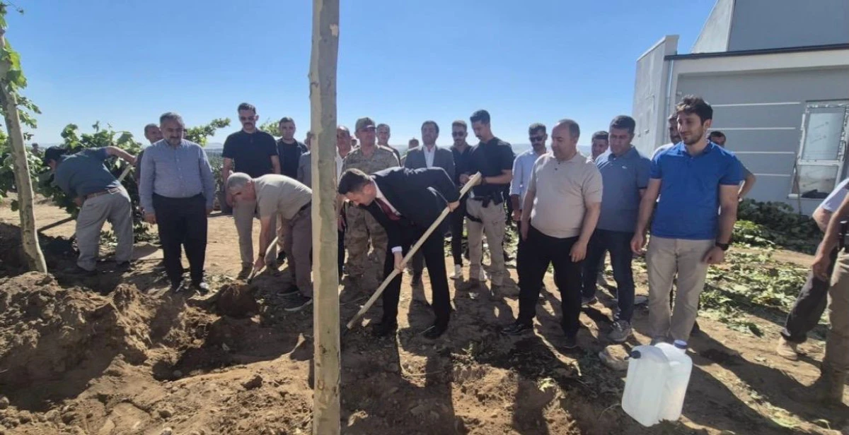 Erciş&rsquo;te 15 Temmuz Şehitleri Anısına Hatıra Ormanı Oluşturuldu