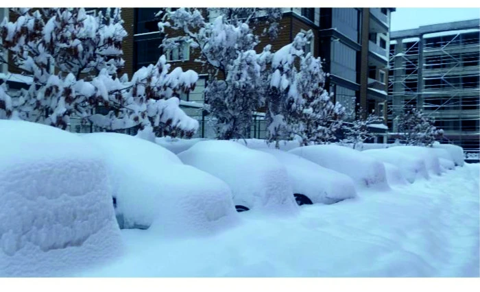 Erciş&rsquo;te Ara&ccedil;lar Kara G&ouml;m&uuml;ld&uuml;