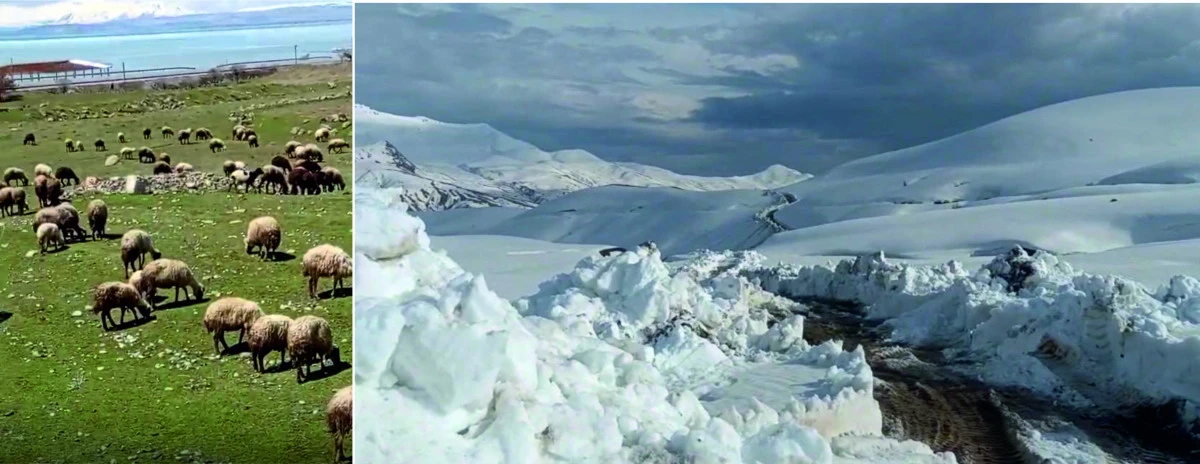 Erciş&rsquo;te Bahar ve Kar Bir Arada: Zorava ve Yekmale Yolları A&ccedil;ılıyor