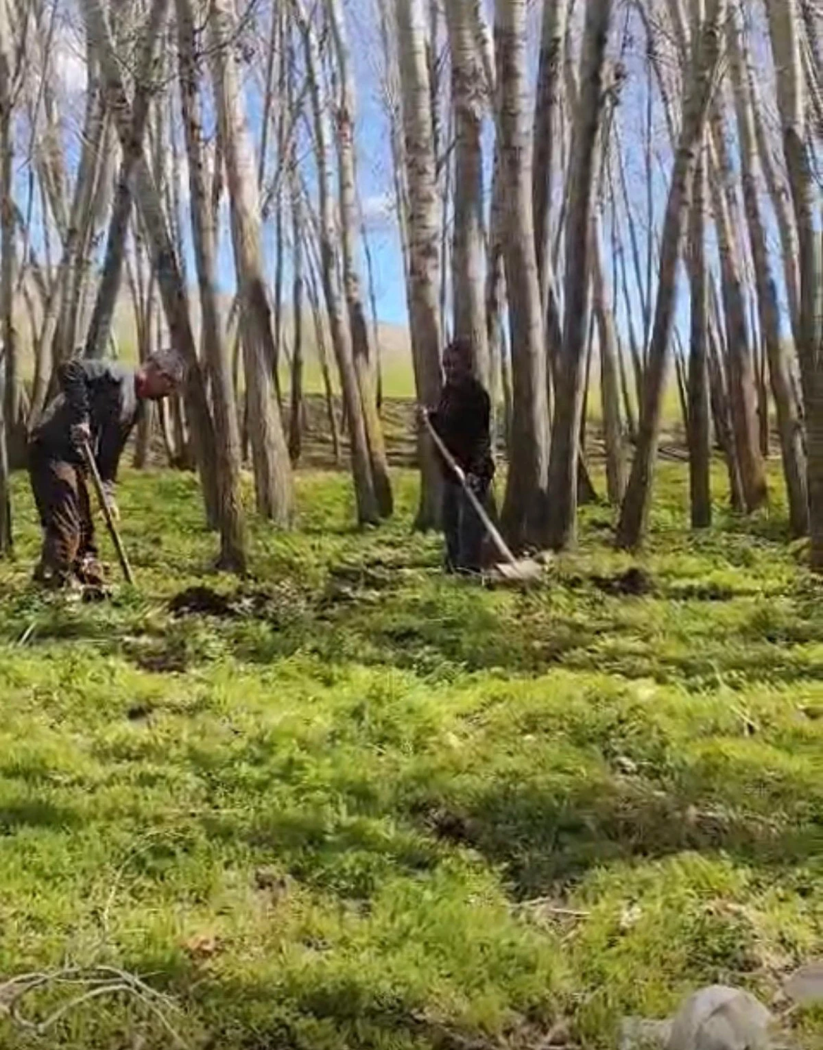 Erciş&rsquo;te Bah&ccedil;eler Baharla Yeniden Hayat Buldu