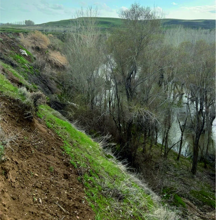 Erciş&rsquo;te Dereler Taştı, Araziler Sular Altında