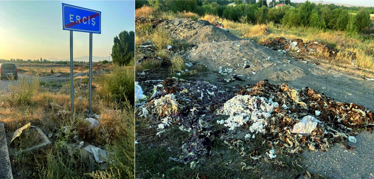 Erciş&rsquo;te Hayvan Y&uuml;nleri Doğaya Atılıyor