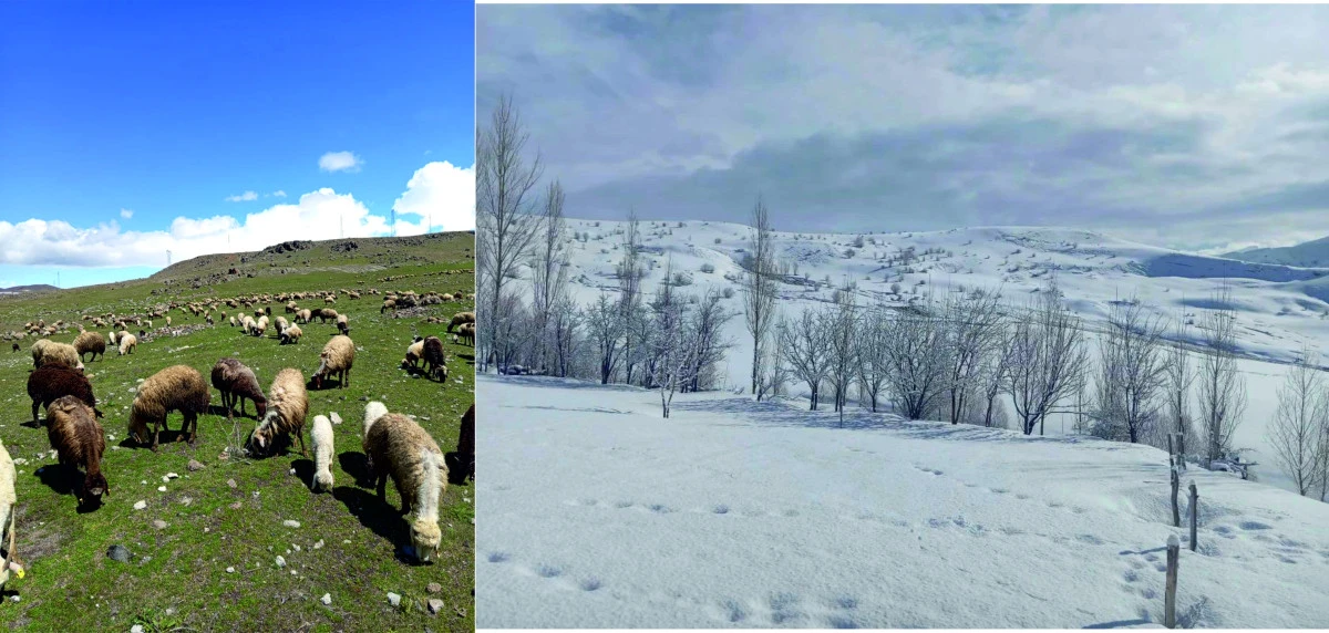 Erciş&rsquo;te İki Mahalle, İki Ayrı Mevsim