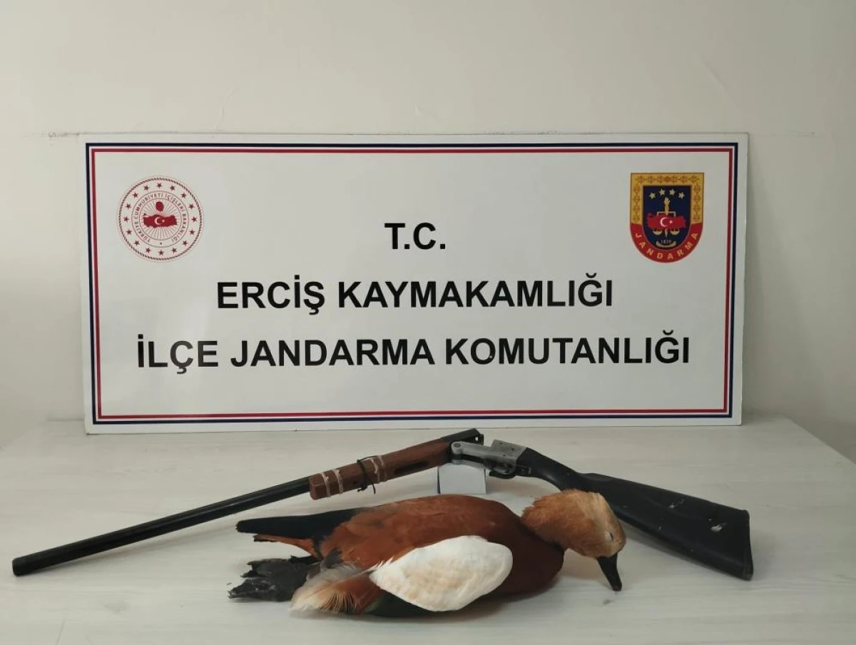 Erciş'te kaçak avcılıkla mücadele çalışması