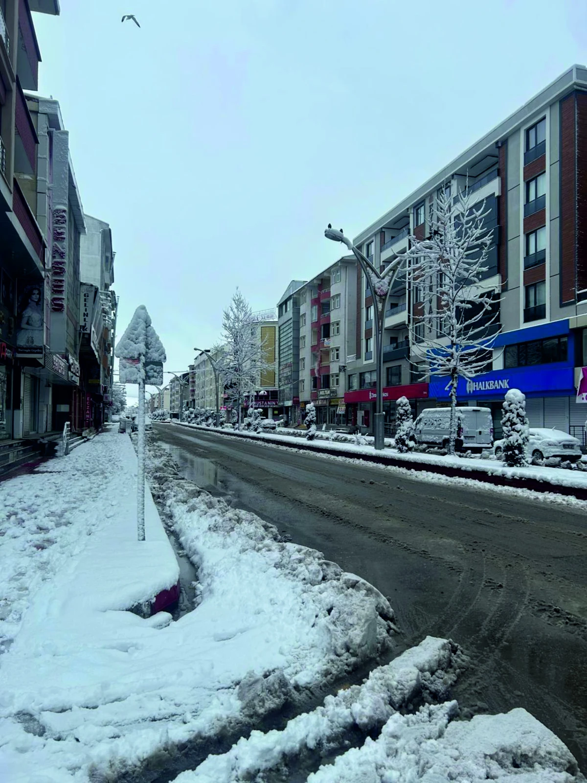 Erciş&rsquo;te Kar G&uuml;zelliği: İl&ccedil;e Beyaza B&uuml;r&uuml;nd&uuml;