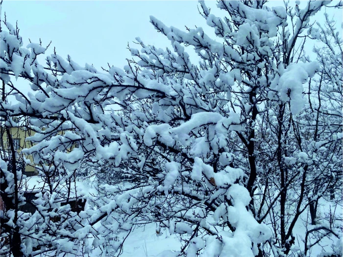 Erciş&rsquo;te Kar Yağışı Sonrası Kartpostallık G&ouml;r&uuml;nt&uuml;ler