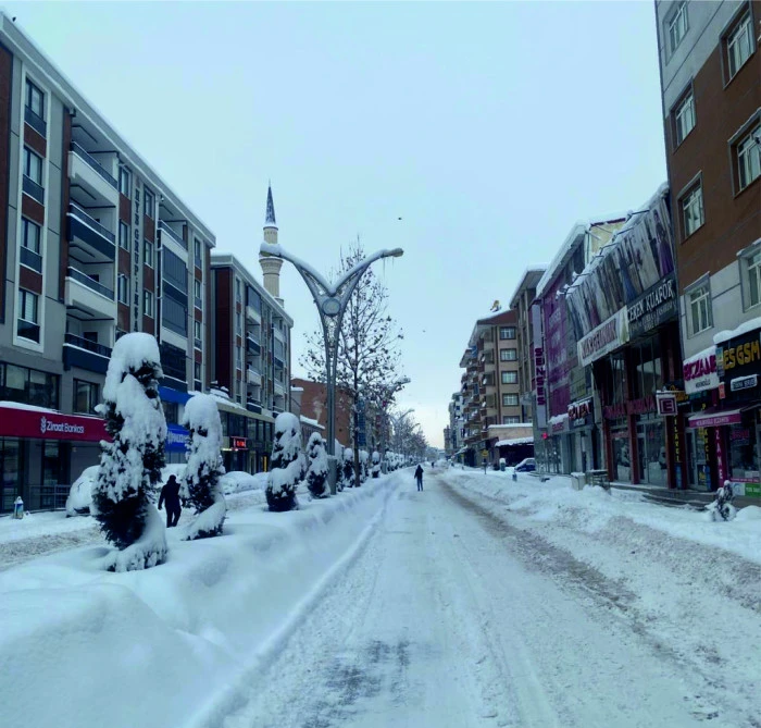 ERCİŞ&rsquo;TE KIŞ SERT  Y&Uuml;Z&Uuml;N&Uuml; G&Ouml;STERDİ:  YAĞAN KAR HAYATI DURDURDU