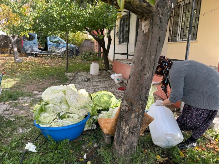 Erciş&rsquo;te Kış Sofraları İ&ccedil;in Lahana Mesaisi