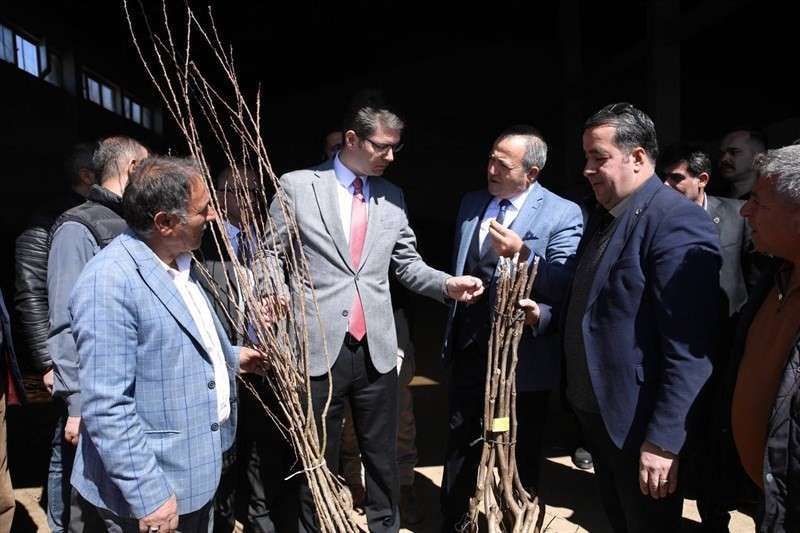 Erciş'te meyve fidanı dağıtıldı