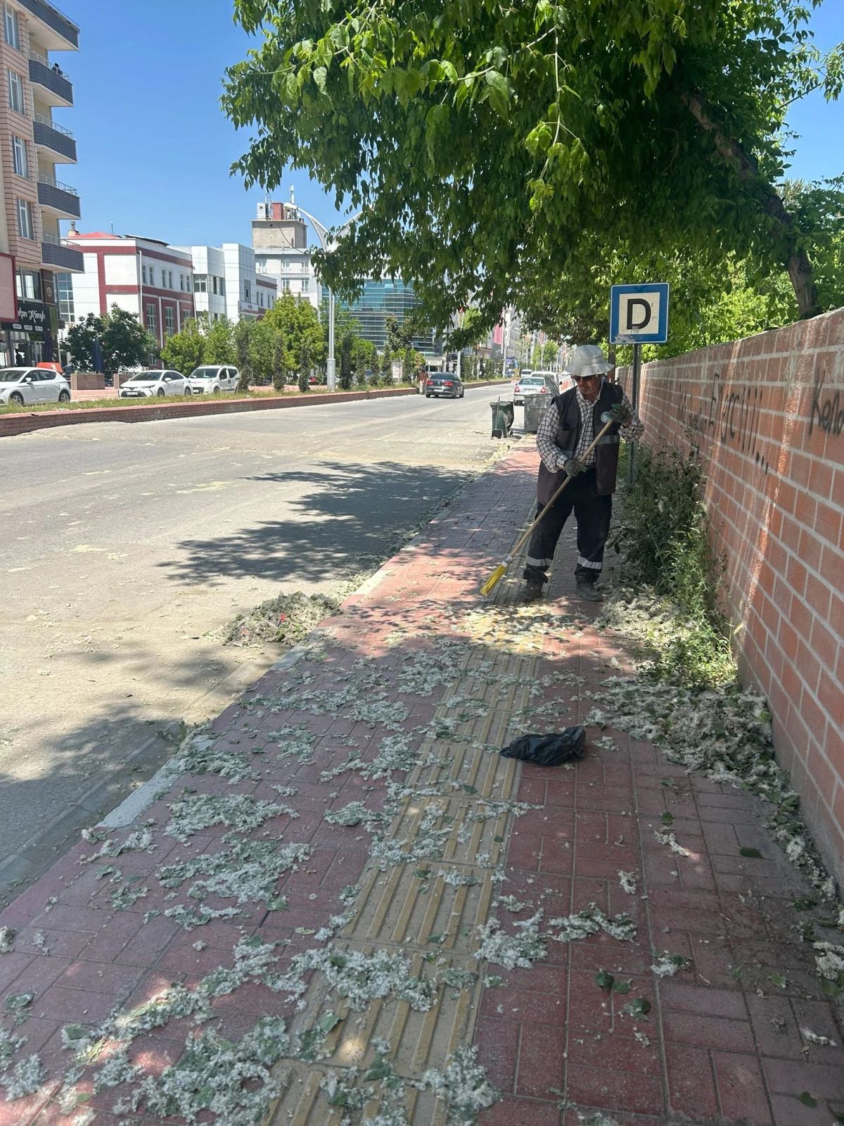 Erciş&rsquo;te Polen Yoğunluğu Hayatı Etkiliyor