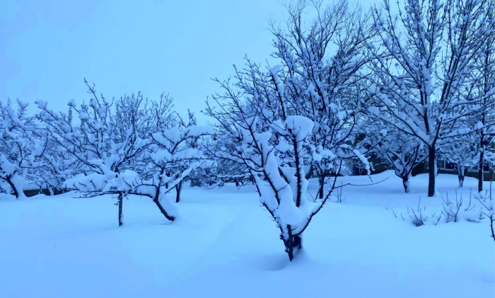 ERCİŞ'TE SİBİRYA SOĞUKLARI ETKİSİNİ G&Ouml;STERİYOR