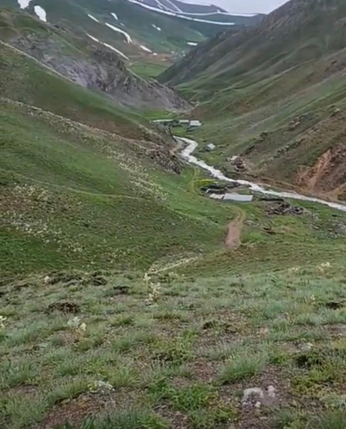 Erciş&rsquo;te Yayla Sezonu Başladı 