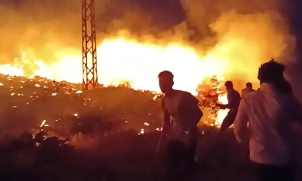 Hakkari-Van il sınırı arasında çıkan yangın korkuttu