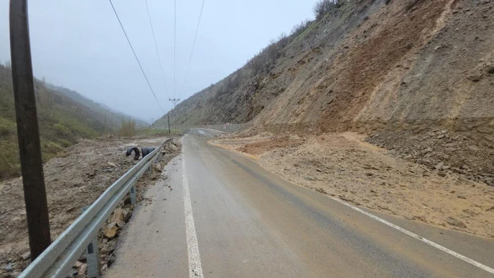 Hizan-Bah&ccedil;esaray yoluna d&ouml;k&uuml;len &ccedil;amur ve kayalar temizlendi