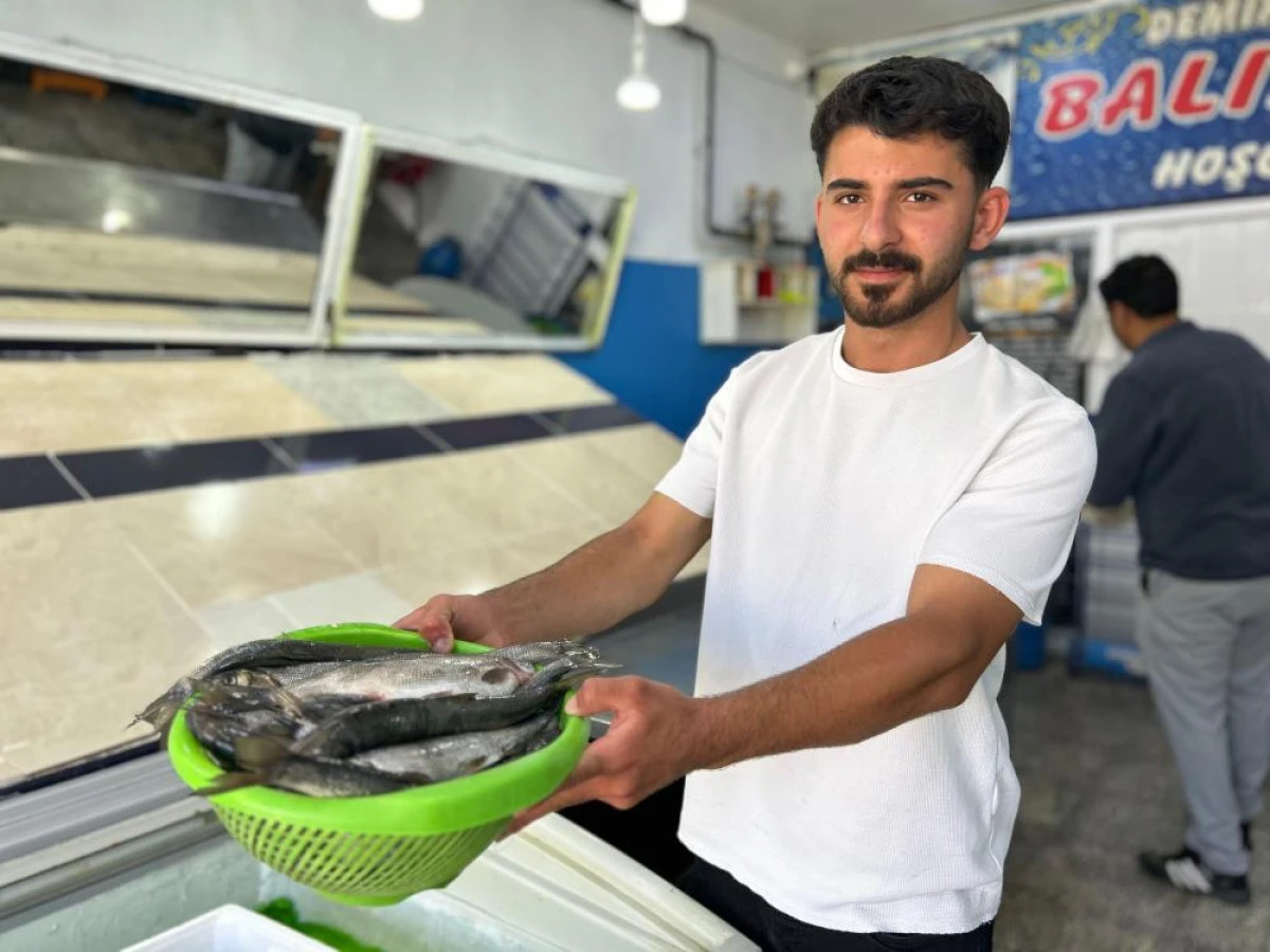 İnci kefali tezg&acirc;hlardaki yerini aldı