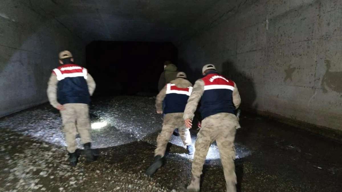  İnci kefalleri Van İl Jandarma Komutanlığı'na emanet