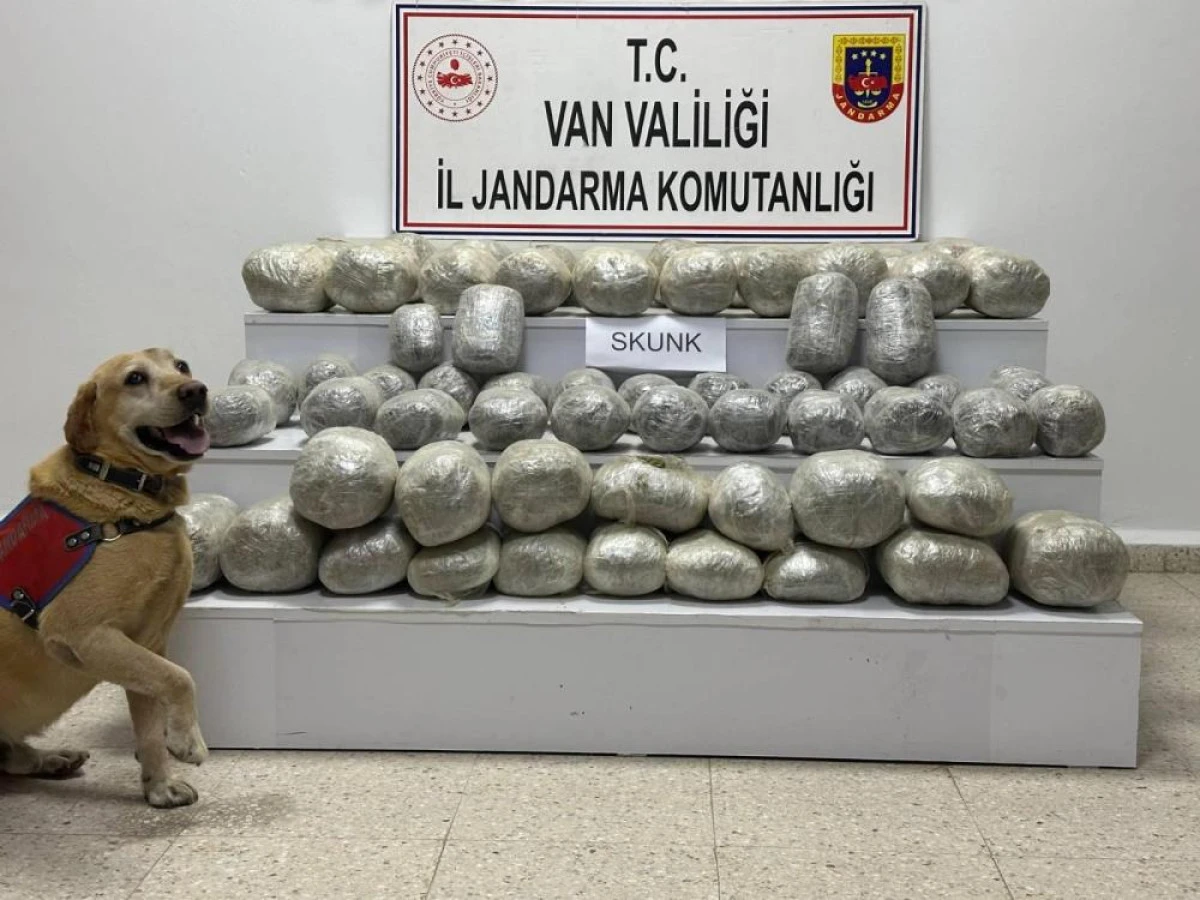 İran'dan katırla yurda sokulan 97 kilogram uyuşturucuya 1 gözaltı