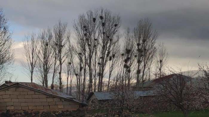  Kargaların yeni mekanı baz istasyonu direği