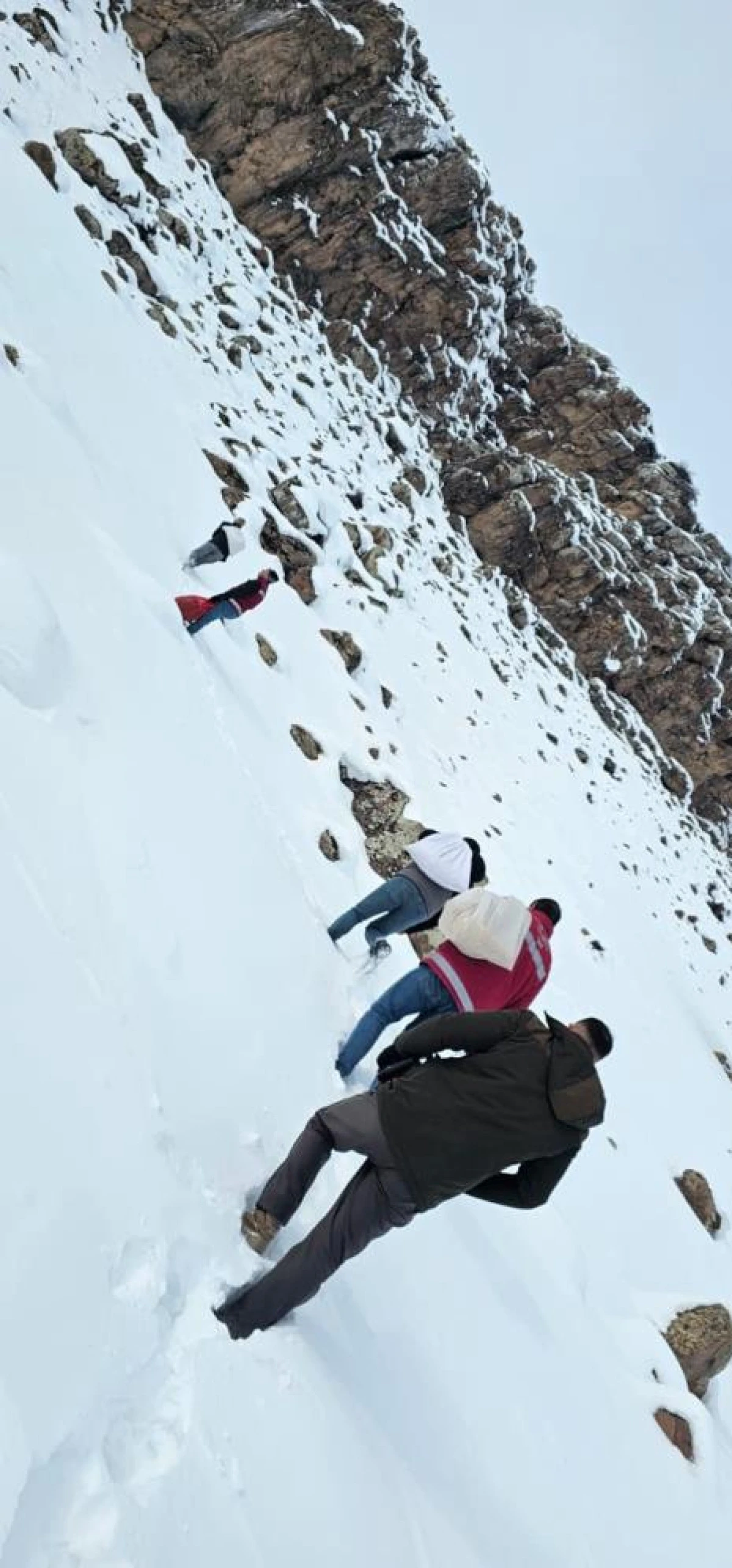 Muradiye&rsquo;de yaban hayvanları i&ccedil;in doğaya yem bırakıldı