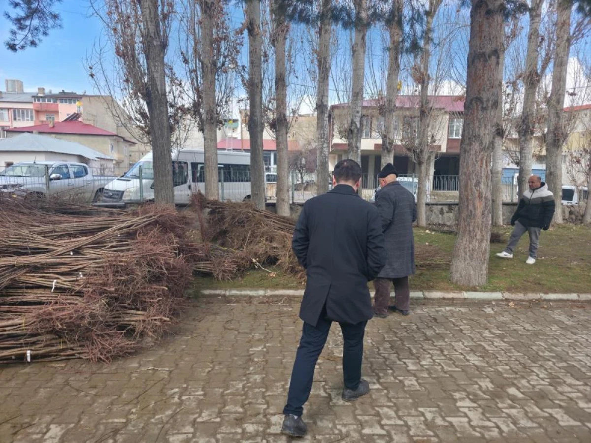 Muradiye&rsquo;de y&uuml;zde 90 hibeli 50 bin adet meyve fidanı dağıtımı yapıldı