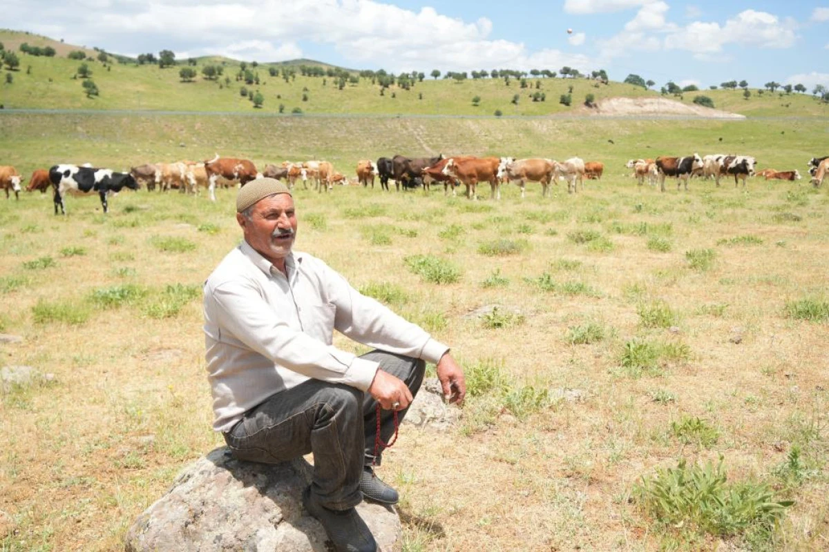 Muş'ta çoban krizi