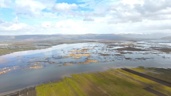 Muş&rsquo;ta eriyen kar ve sağanak ovayı sular altında bıraktı