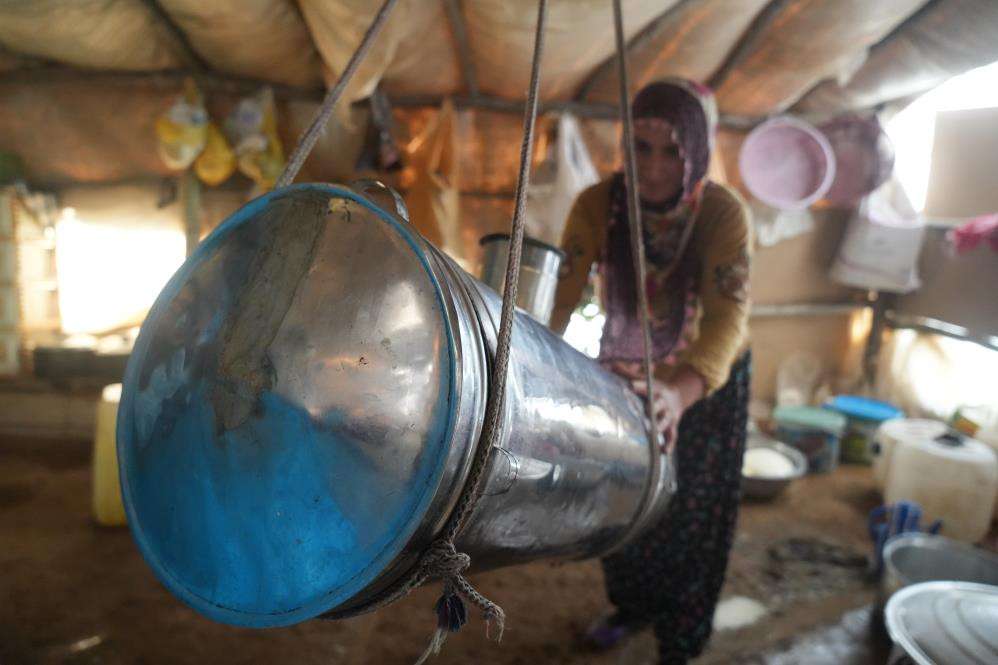 Muş'ta güneşten önce uyanan kadınların zorlu yayla mesaisi devam ediyor