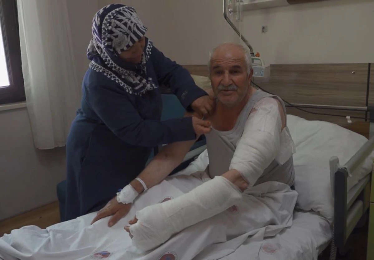 Ot biçen vatandaş kurdun saldırısına uğradı