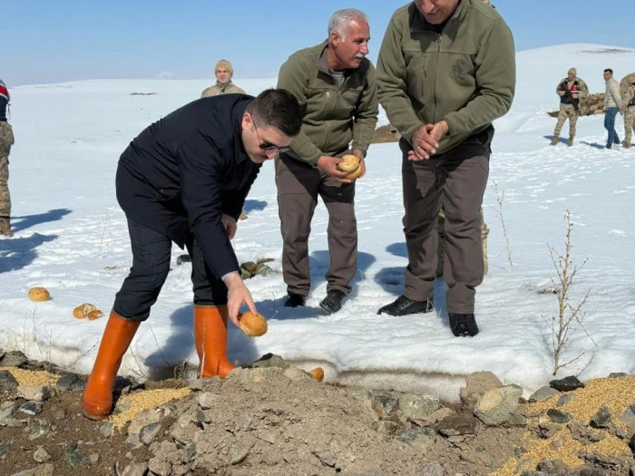 &Ouml;zalp il&ccedil;esinde doğaya yem bırakıldı